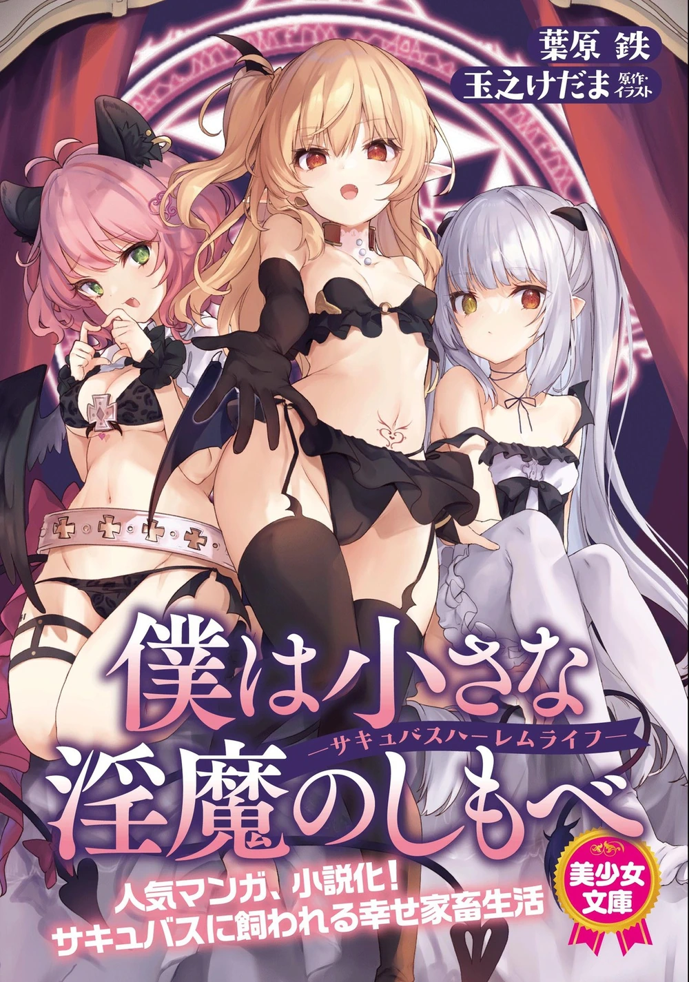 我是娇小魅魔的忠实仆人 ─魅魔后宫性活─